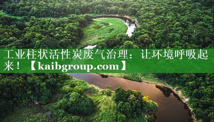 工业柱状活性炭废气治理：让环境呼吸起来！