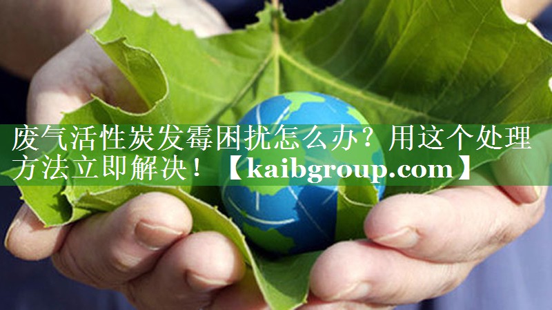 废气活性炭发霉困扰怎么办？用这个处理方法立即解决！