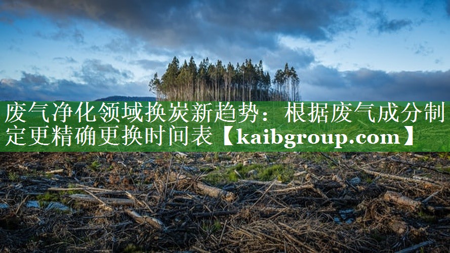 废气净化领域换炭新趋势：根据废气成分制定更精确更换时间表