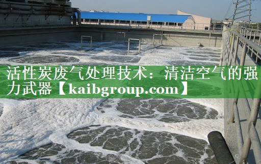 活性炭废气处理技术：清洁空气的强力武器