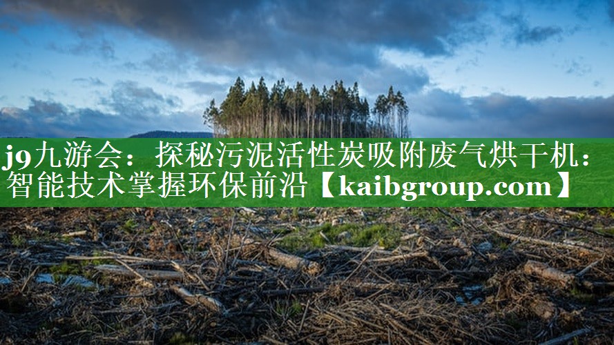 探秘污泥活性炭吸附废气烘干机：智能技术掌握环保前沿