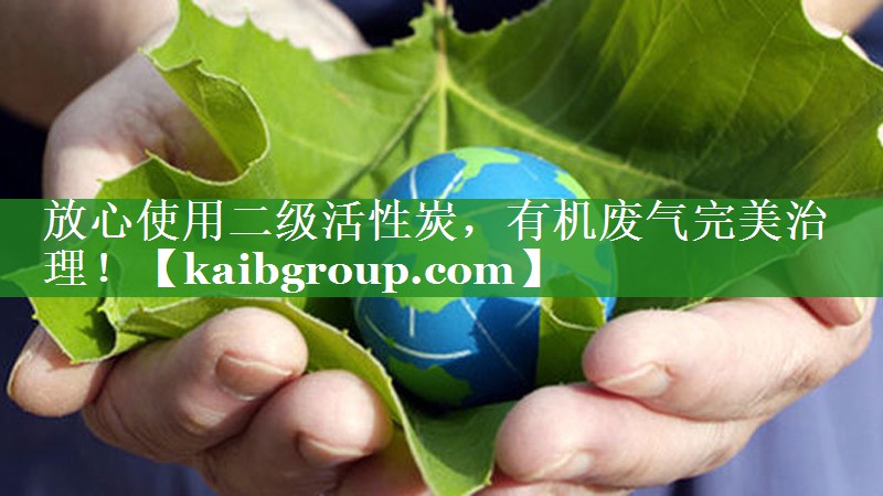 放心使用二级活性炭，有机废气完美治理！